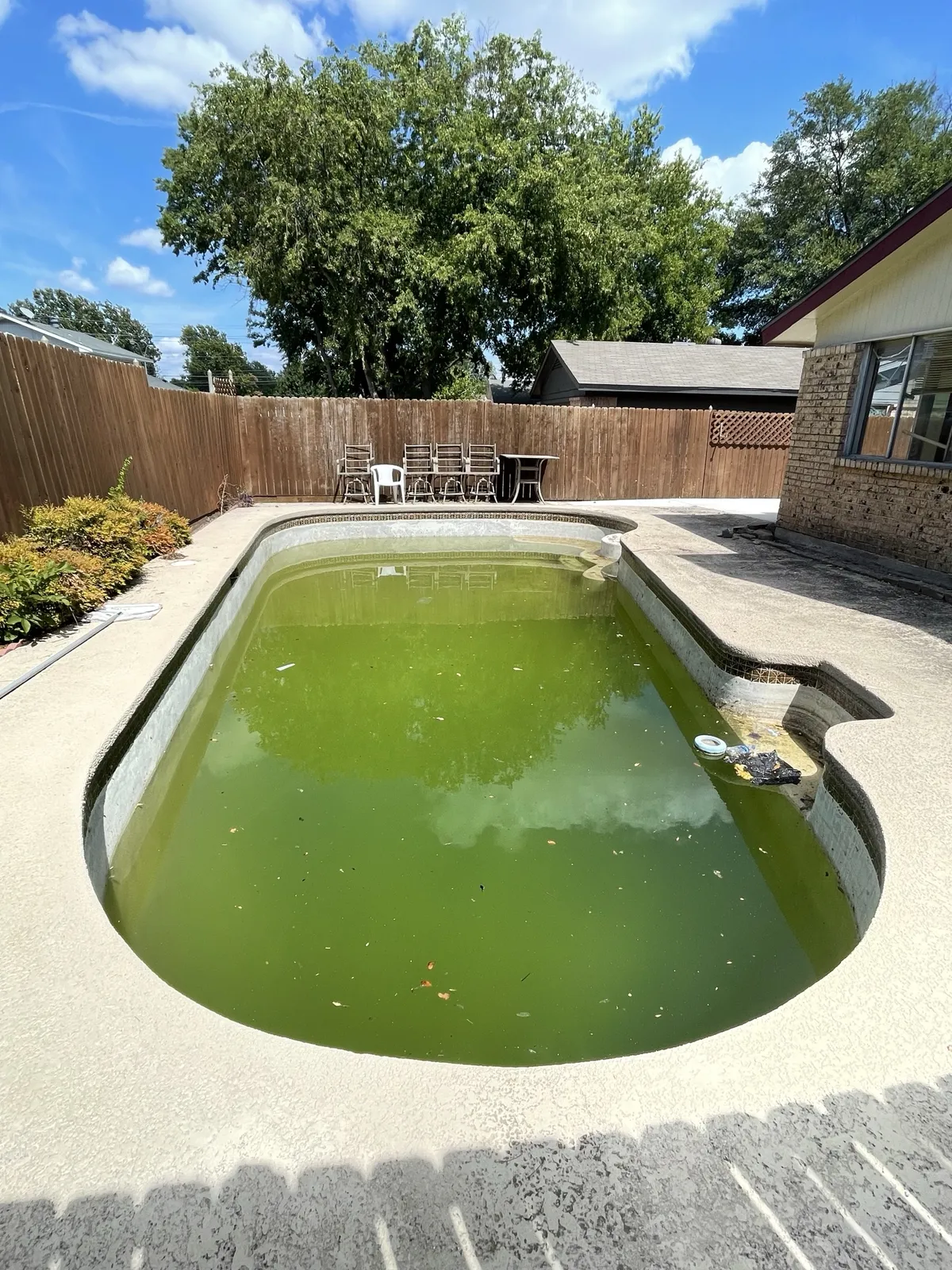 Before: green pool with old plaster and tile