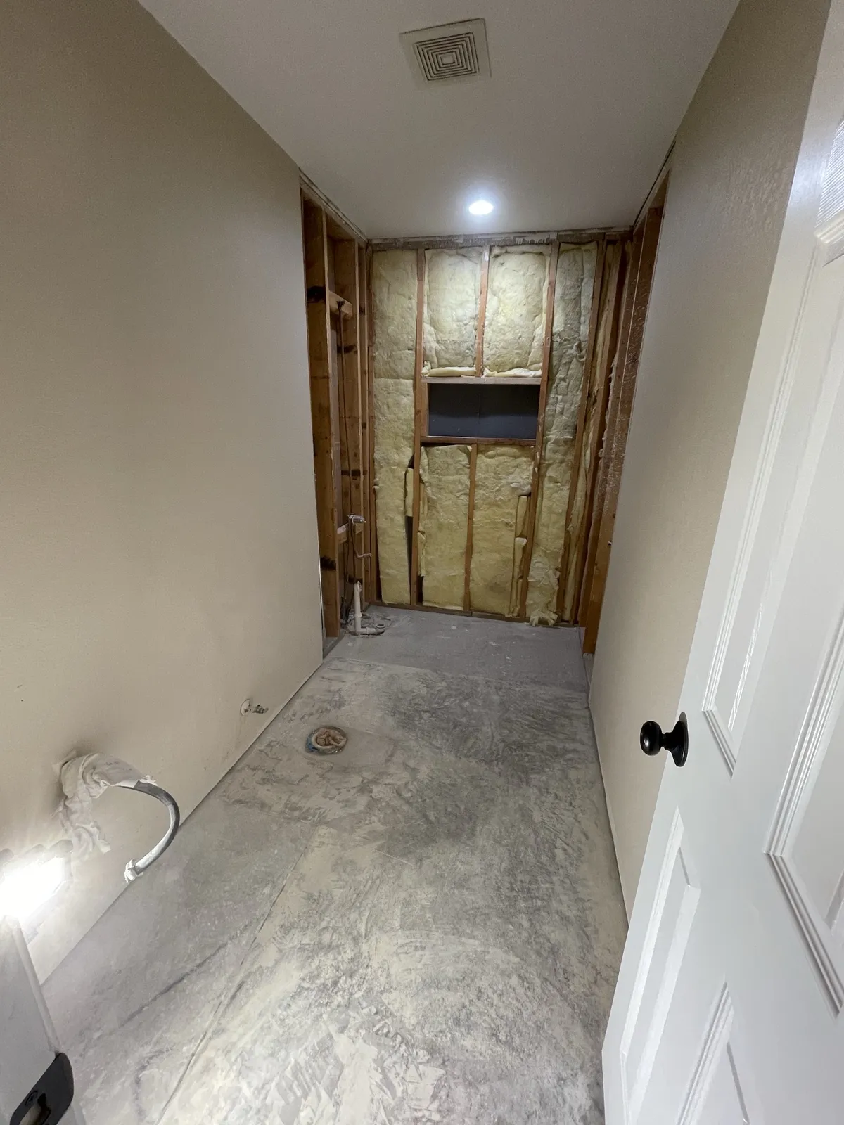 Demo: bathroom gutted to studs
